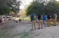 Fiscal�a rescata a canino y borrego en condiciones de maltrato en El Testerazo