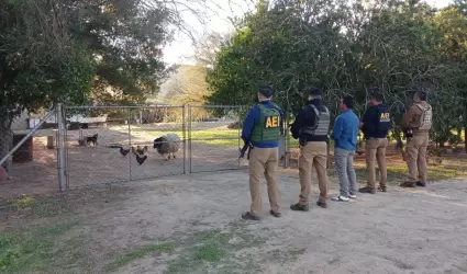 Fiscal�a rescata a canino y borrego