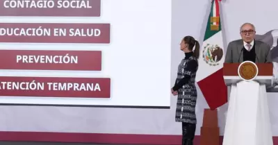 David Kershenobich, titular de la Secretar�a de Salud.