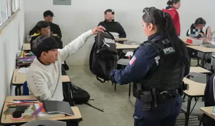 Revisi�n de Pertenencias