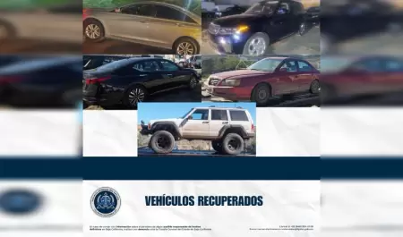 Recupera 9 veh�culos robados