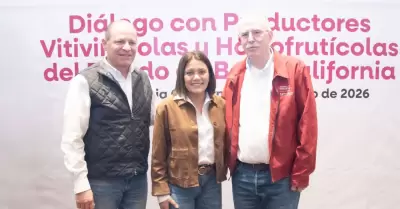 Sector vitivin�cola y hortofrut�cola de Baja California