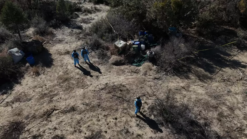 Localizan laboratorio clandestino de metanfetamina en la Sierra de San Pedro M�rtir