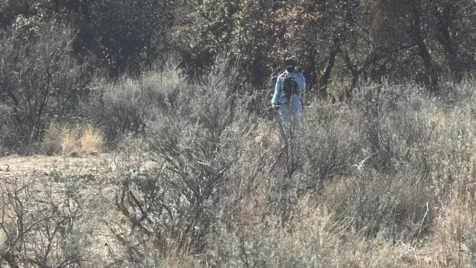 Localizan laboratorio clandestino de metanfetamina en la Sierra de San Pedro M�rtir