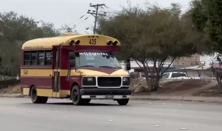 Calafia transporte p�blico