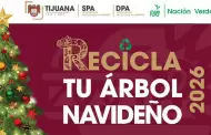 Exhorta Gobierno Municipal de Tijuana a aprovechar los �ltimos d�as de la campa�a 'Recicla tu �rbol Navide�o 2026'