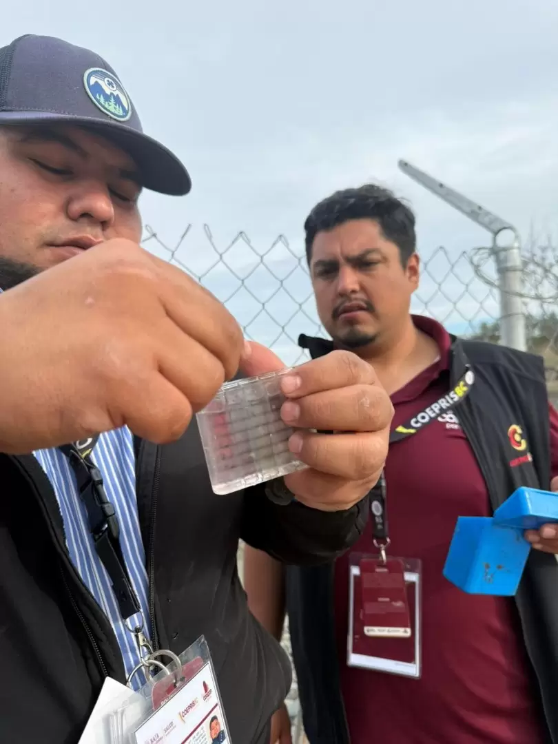 Realizan acciones para prevenci�n de riesgos sanitarios en Isla de Cedros