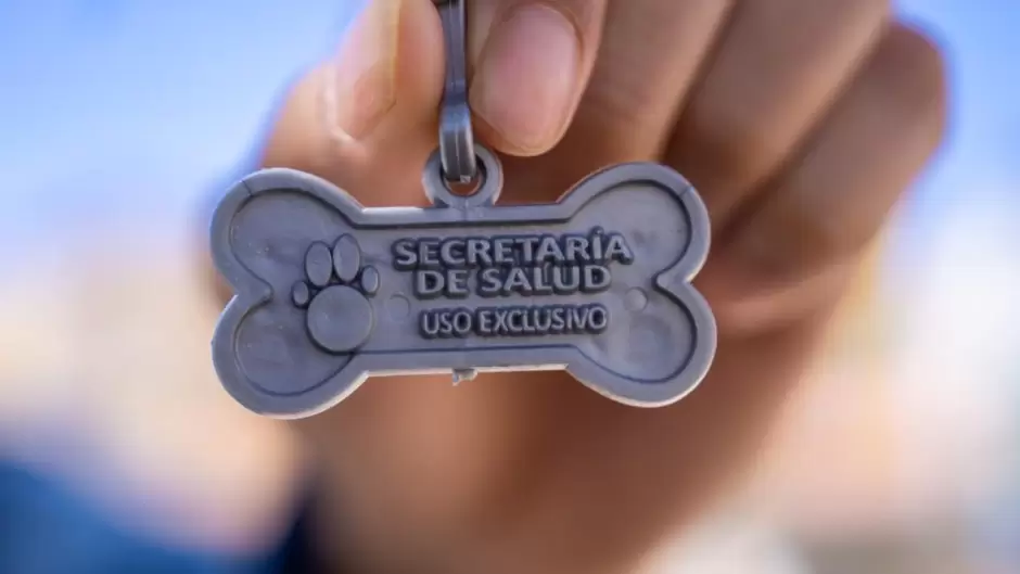 Destacan acciones a favor de las mascotas con programas gratuitos de salud en Baja California