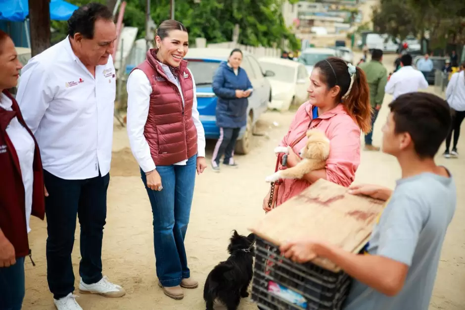 Destacan acciones a favor de las mascotas con programas gratuitos de salud en Baja California