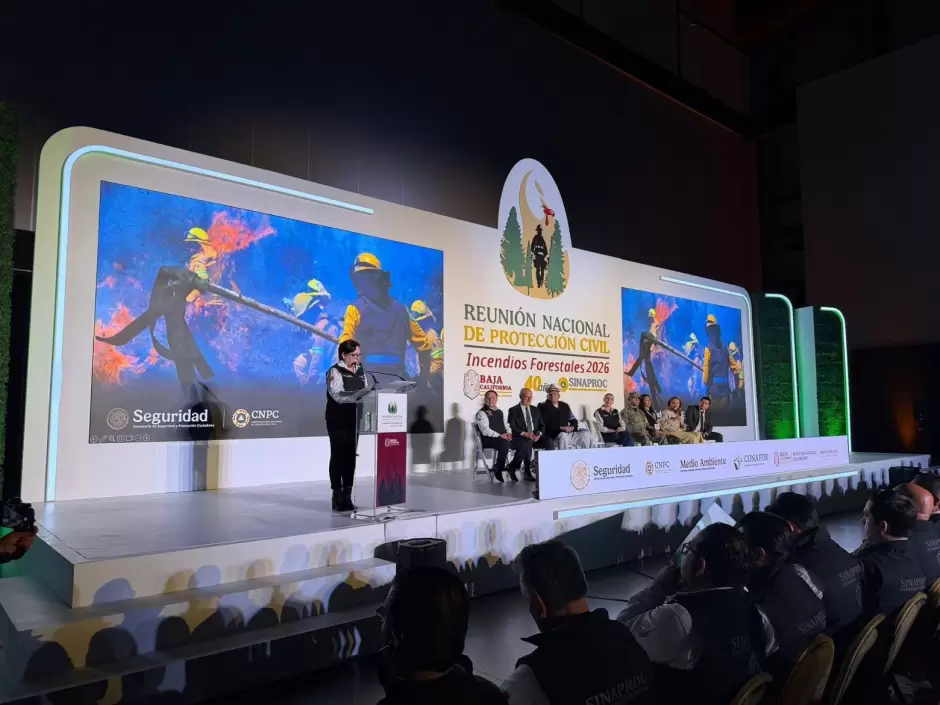 Estrategia nacional para prevenir incendios forestales