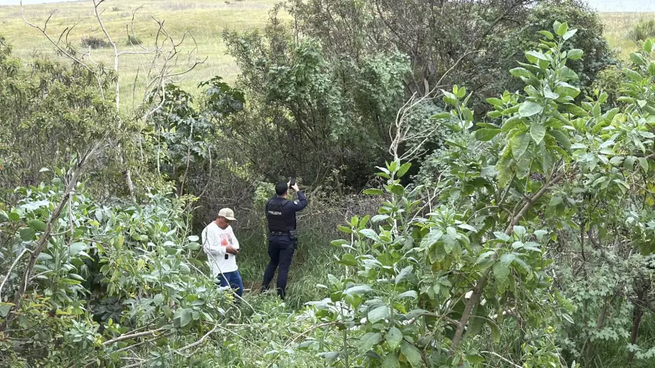 "Todos Somos Erick Carrillo" suma 60 hallazgos de cuerpos de desaparecidos en Baja California