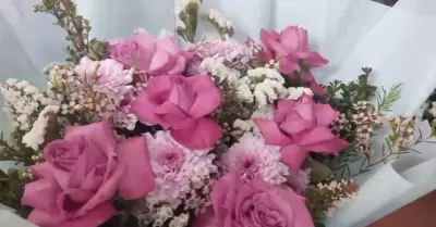 Rosas Rosas