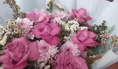 Rosas Rosas