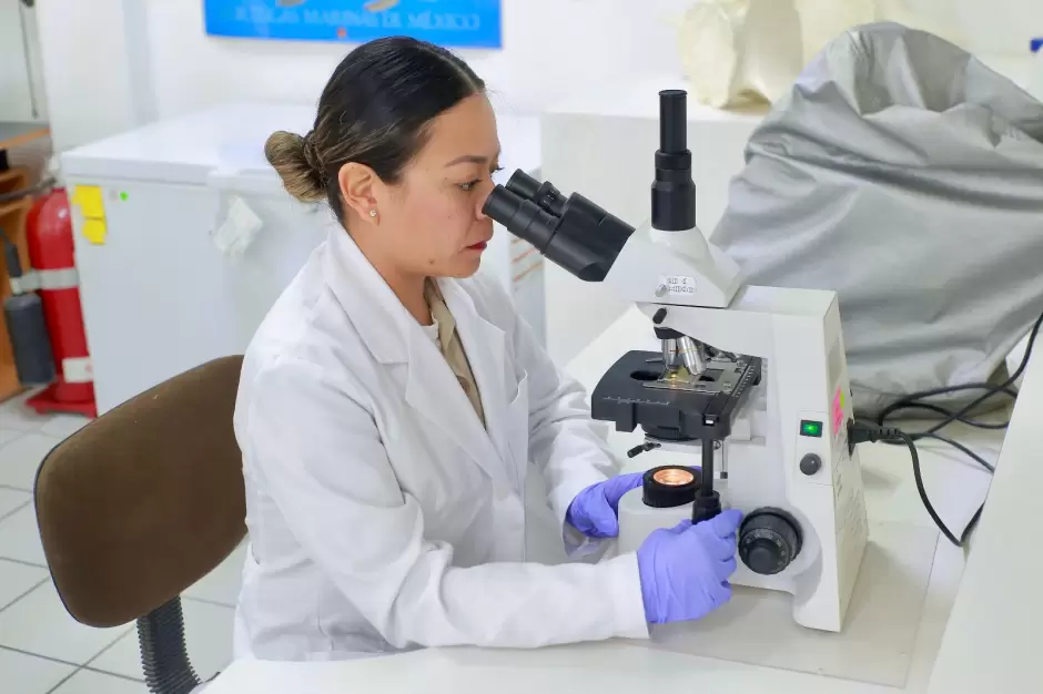 Marina informa sobre vacantes laborales en Ensenada