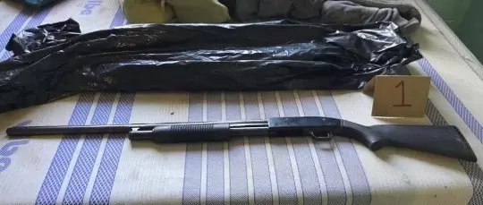 Detenidos tras cateo en Tijuana