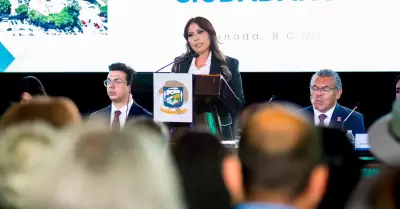 Convocatorias para proponer Ciudadano y Maestro Distinguido 2026