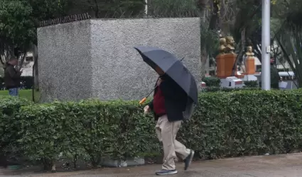 Pron�stico de lluvias