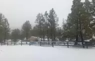 Sin da�os mayores por lluvias en Ensenada; reportan nieve en sierras: Claudia Agat�n