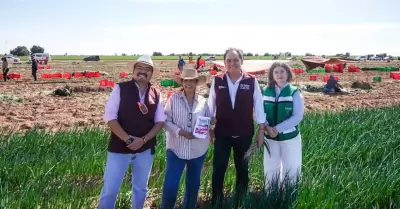 Intensifican vacunaci�n contra el sarampi�n en campos agr�colas de Baja Californ