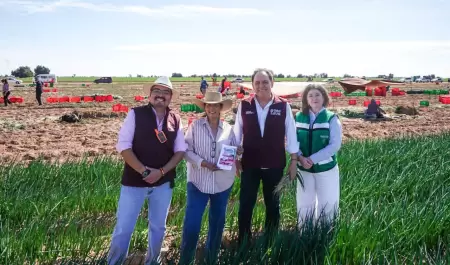 Intensifican vacunaci�n contra el sarampi�n en campos agr�colas de Baja Californ