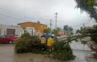 Refuerza XXV Ayuntamiento de Tijuana monitoreo permanente y seguimiento a reportes de incidencias por lluvias