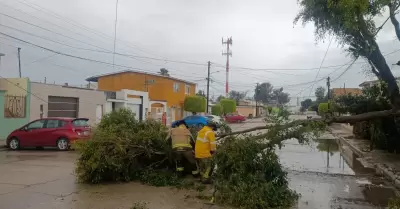 Seguimiento a reportes de incidencias por lluvias