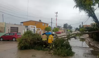 Seguimiento a reportes de incidencias por lluvias