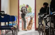 "Willie" detecta marihuana en escuela de Urbi Villas del Prado