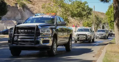 Fuerzas de Seguridad