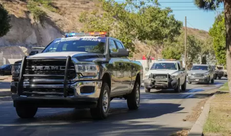 Fuerzas de Seguridad