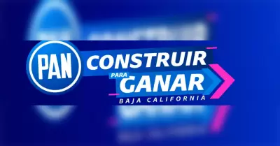 Partido Acci�n Nacional (PAN)