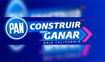 Partido Acci�n Nacional (PAN)