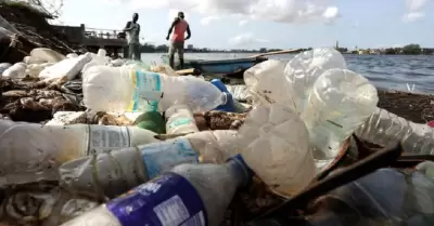 Avalan que activistas defiendan el medio ambiente en tribunales