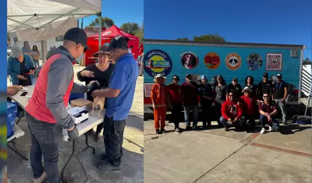 Jornada de esterilizaci�n en Francisco Zarco