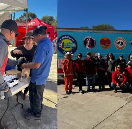 Jornada de esterilizaci�n en Francisco Zarco