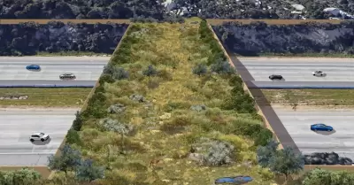 Proyectos de �reas verdes