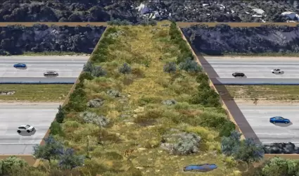 Proyectos de �reas verdes