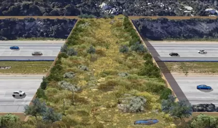 Proyectos de �reas verdes