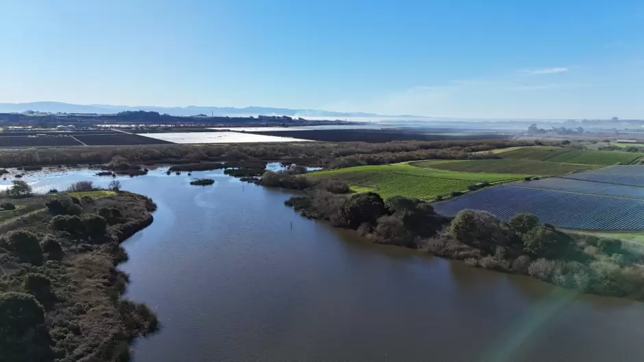 Proyectos de �reas verdes