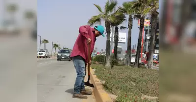 Jornadas de remozamiento de camellones