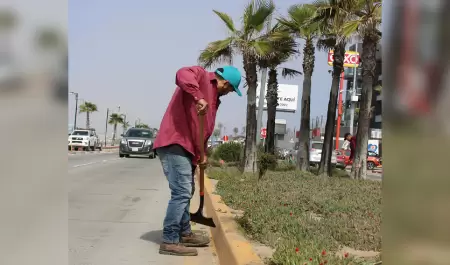 Jornadas de remozamiento de camellones