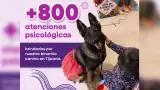 Brinda binomio canino m�s de 800 atenciones de acompa�amiento psicol�gico