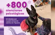 Brinda binomio canino m�s de 800 atenciones de acompa�amiento psicol�gico en Cejum