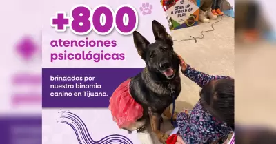 Brinda binomio canino m�s de 800 atenciones de acompa�amiento psicol�gico