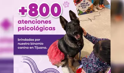 Brinda binomio canino m�s de 800 atenciones de acompa�amiento psicol�gico