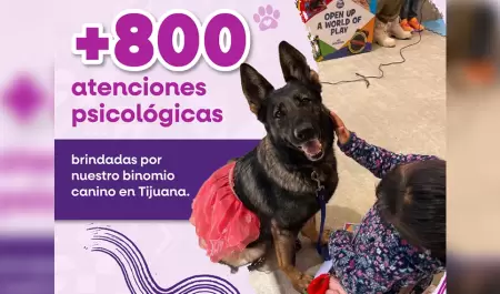 Brinda binomio canino m�s de 800 atenciones de acompa�amiento psicol�gico