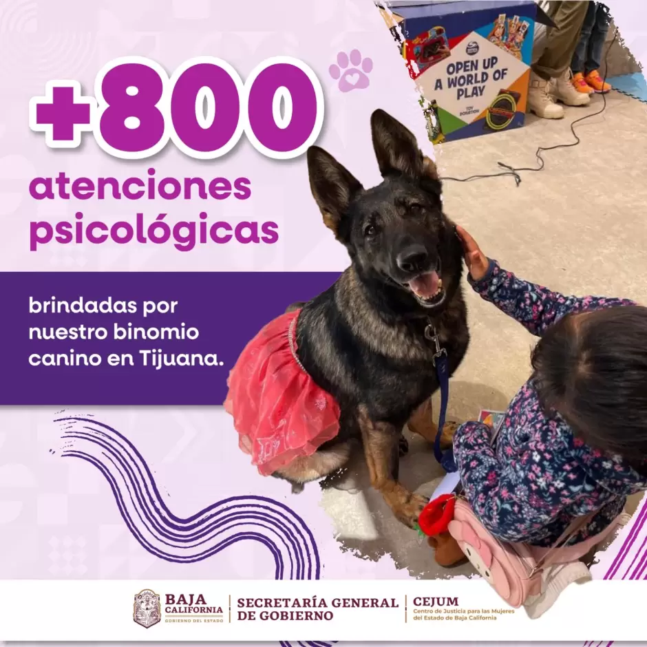Brinda binomio canino más de 800 atenciones de acompañamiento psicológico