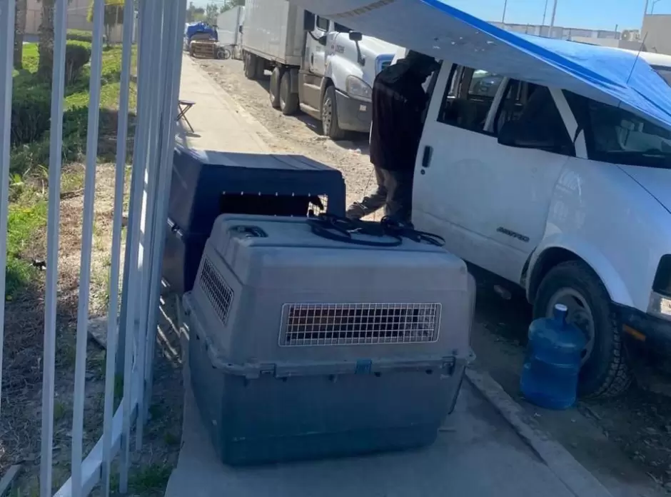 Revisiones estrictas a empresas de seguridad privada