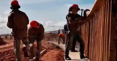 El sector contin�a activo y con perspectivas de crecimiento