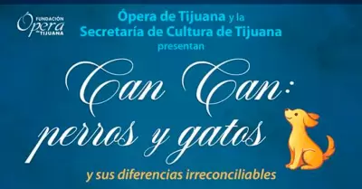 CAN CAN: Perros y gatos y sus irreconciliables diferencias